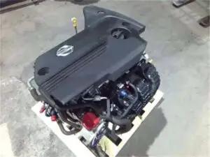619817261 122098297059232344 1885633034407398381 n